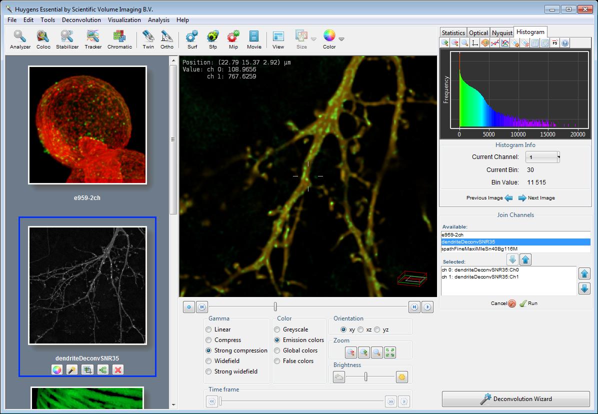 Download | Scientific Volume Imaging