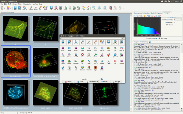 Huygens Professional with new MIP thumbnails and Icon Selector
