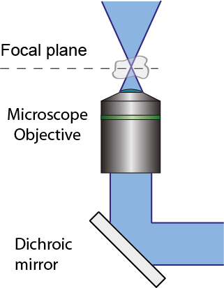Excitation Fill Factor Objective