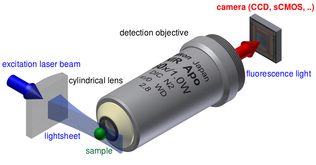 1024px Spim Prinziple En.svg