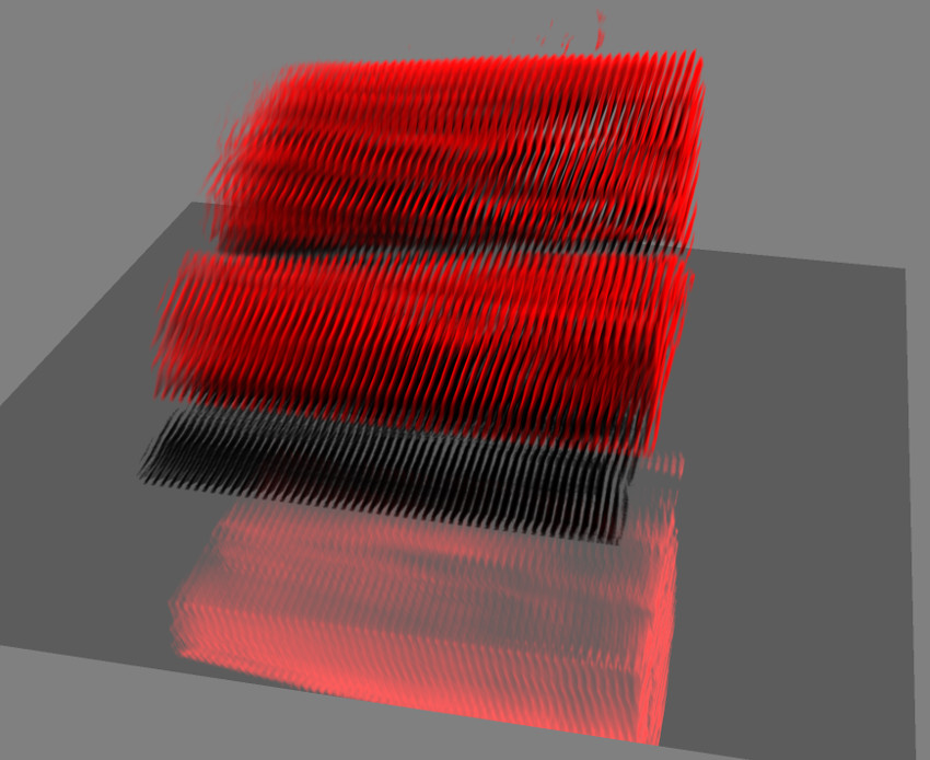 SHG signal of the rat soleous muscle's myosin imaged with a Leica two-photon microscope (NA: 1, 20x). Stack has been deconvolved with Huygens using a measured PSF, and visualized with the Huygens SFP Renderer. High quality imaging together with Huygens allows you to see through the muscle's A bands from one side to the other. The stack dimensions is 105x105x87 μm.