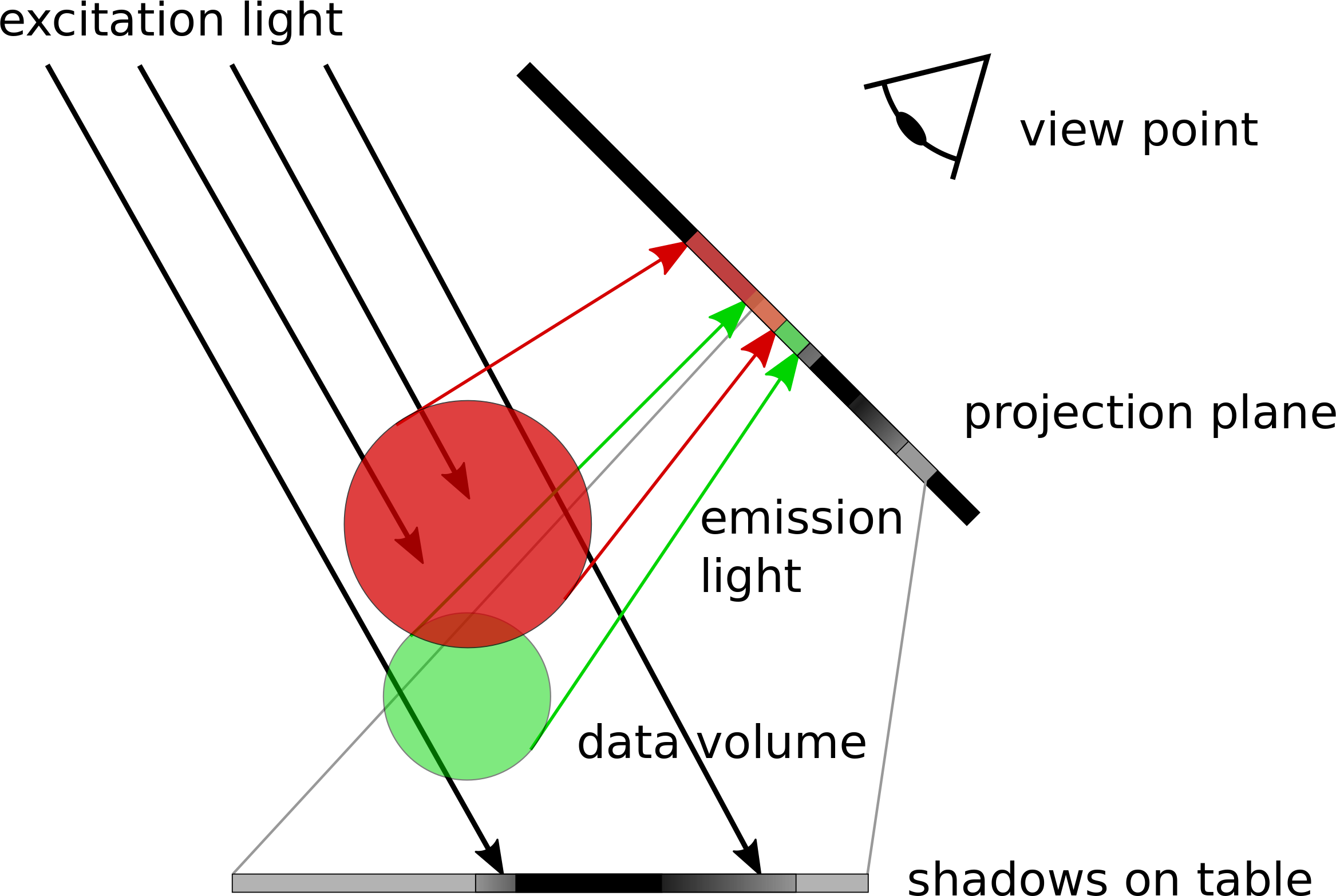 In the SFP Renderer excitation of and subsequent emission of light by fluorescent materials is simulated. Each subsequent voxel in the light beam is affected by shadowing from its predecessors. The transparency of the object for the emission light controls to what extent the viewer can peer inside the object.