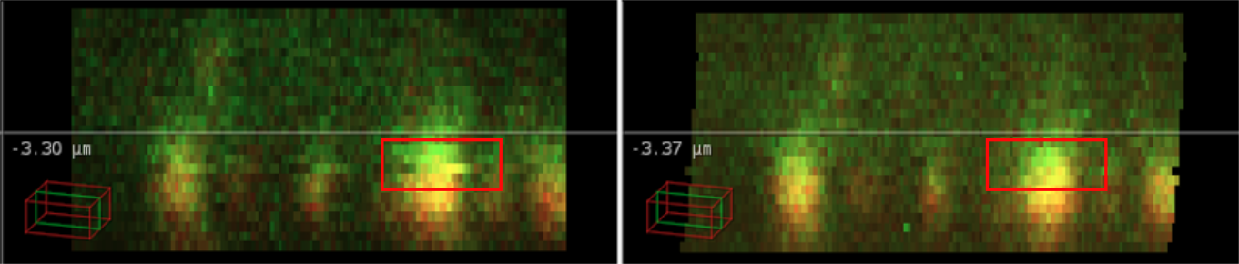 Align Comparison