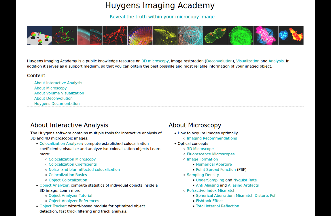 Huygens Imaging Academy
