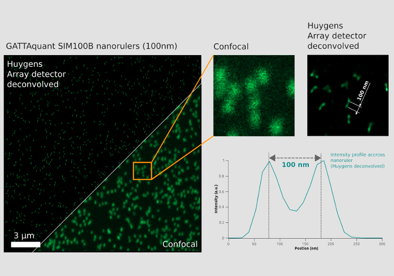 Nanorulers 100nm