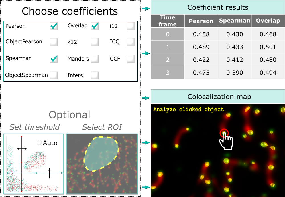 Coloc_Analyzer_Workflow