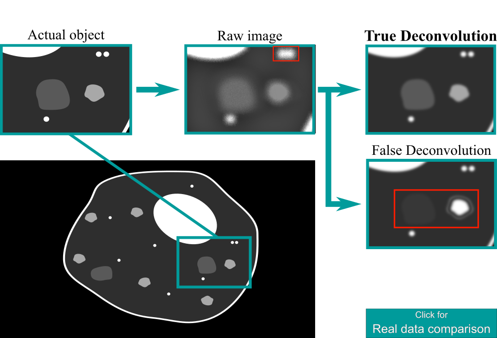 True Deconvolution