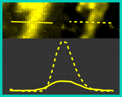 Object Signal