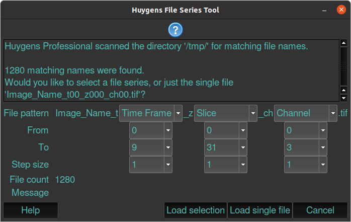 Huygens File Series Tool