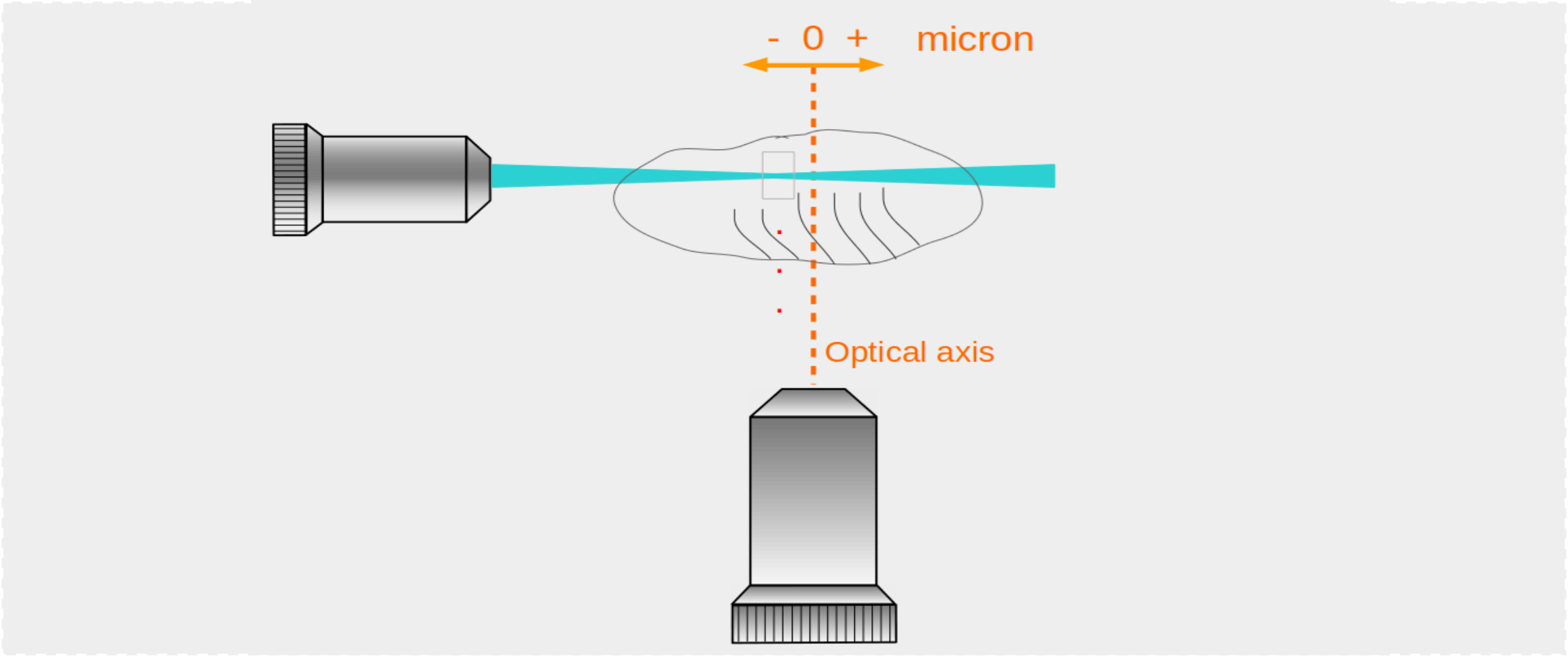 Lateral Focus Offset