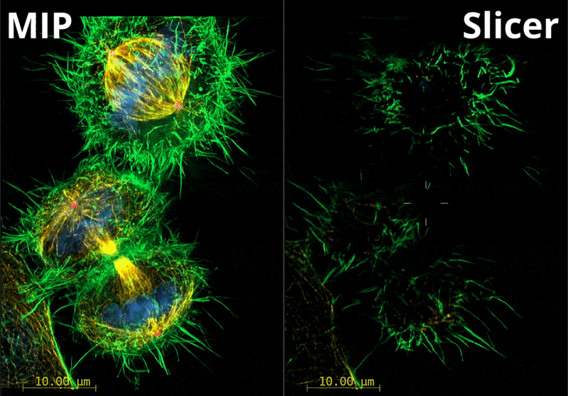 Twin Slicer Projection Animation