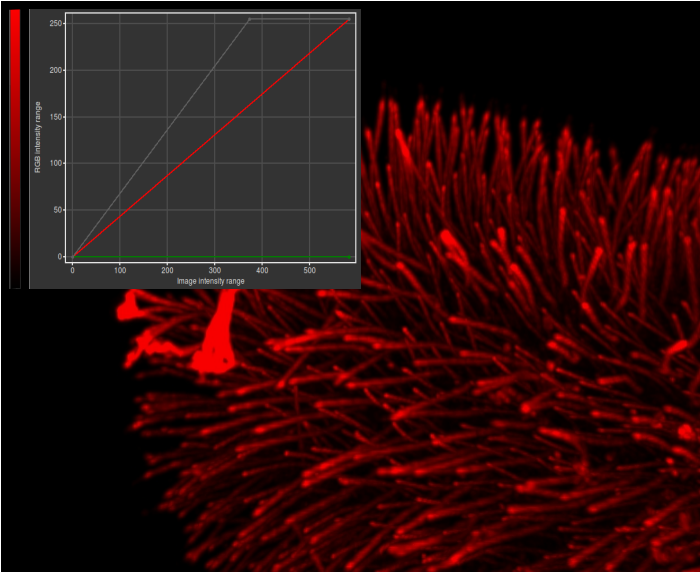 TwinSlicer Contrast LinearGamma HuygensBrightness
