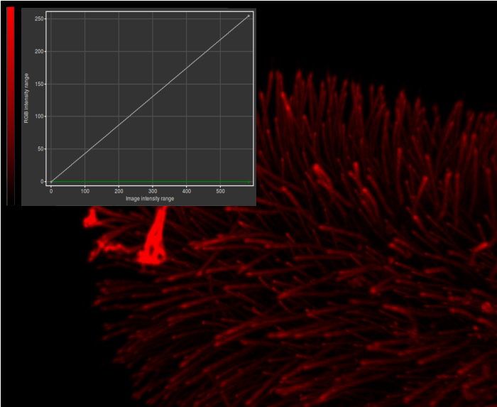 TwinSlicer Contrast LinearGamma