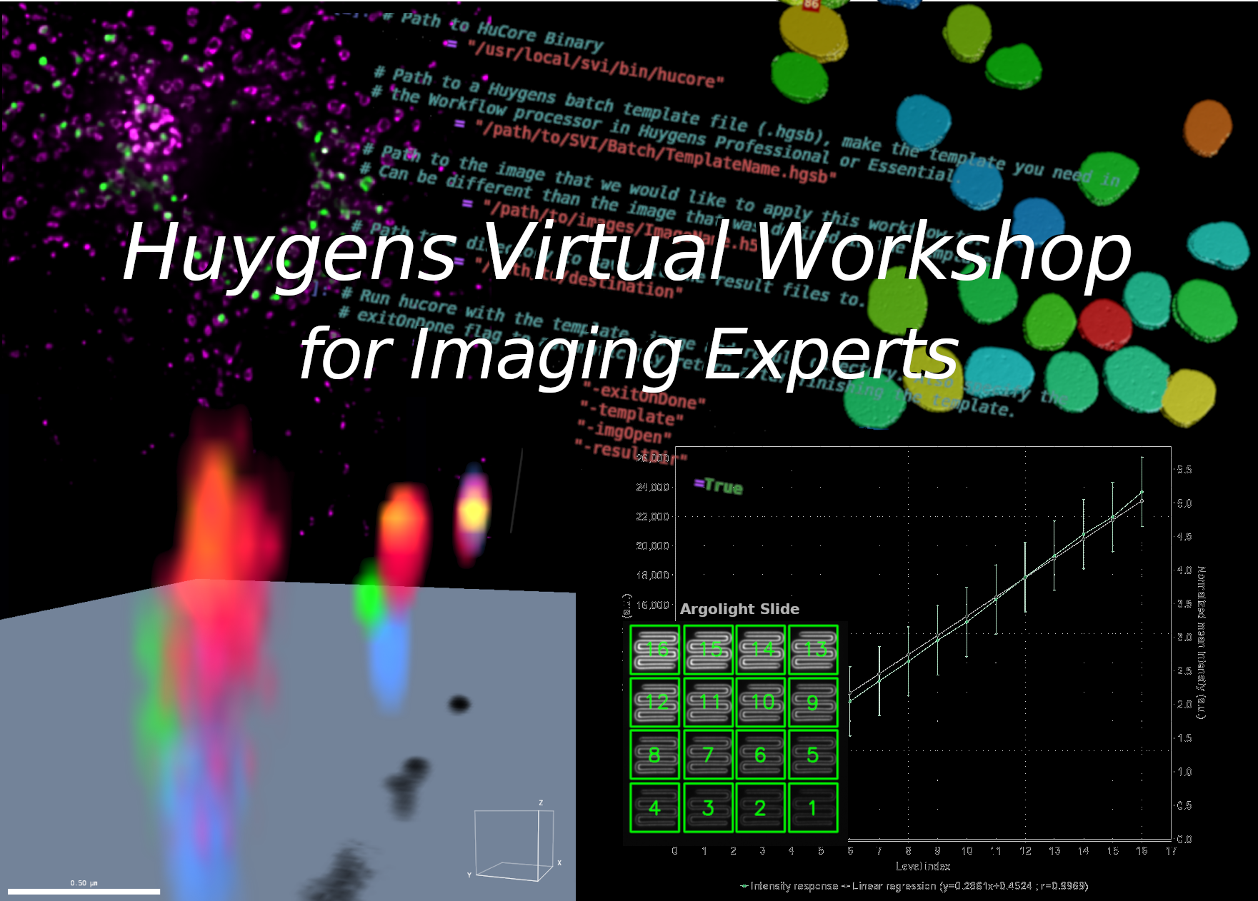 Banner Workshop2024 Website Homepage