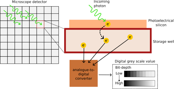 Schematic Clipping On Detector2
