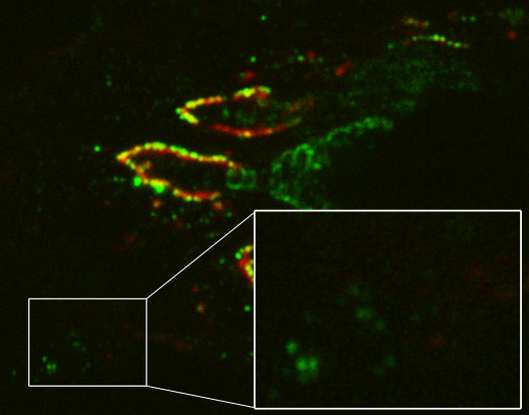 SNR Drawbacks Image Raw