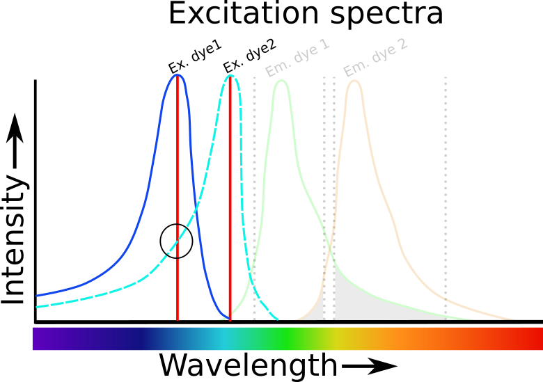 Ex Spectra V1