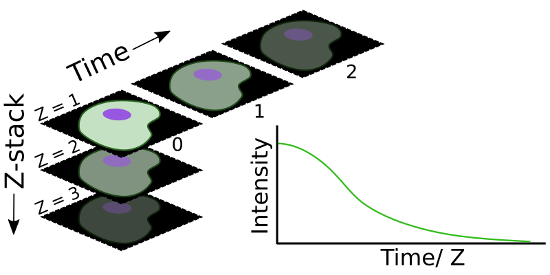 Bleaching Image Blcklttrs