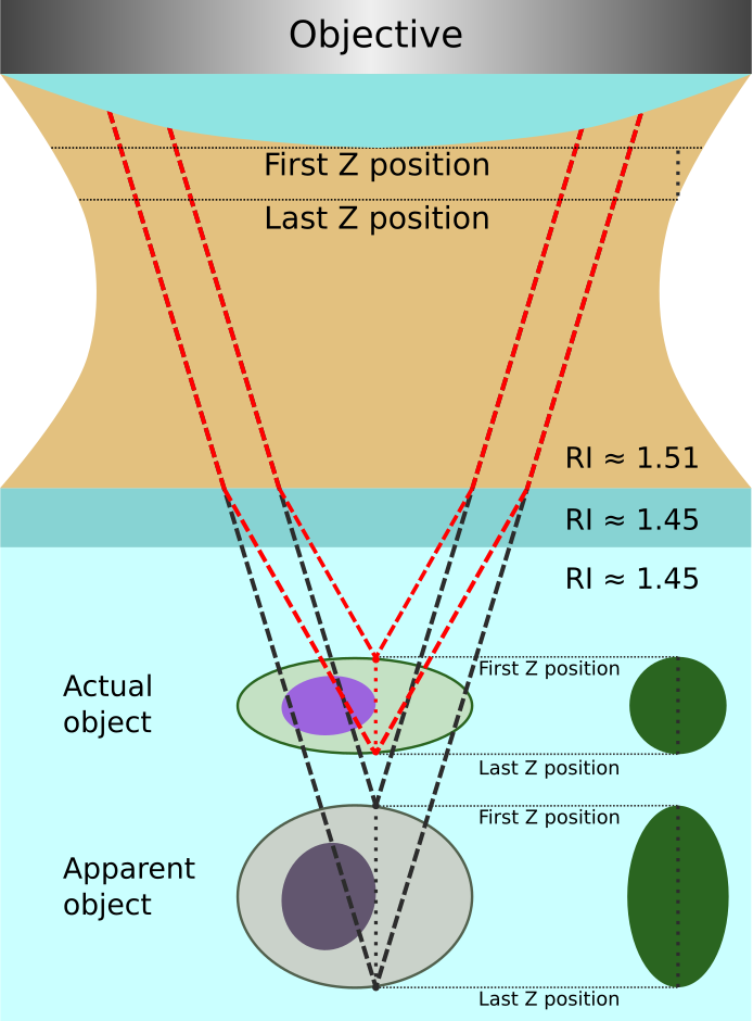RefractiveIndex | Scientific Volume Imaging