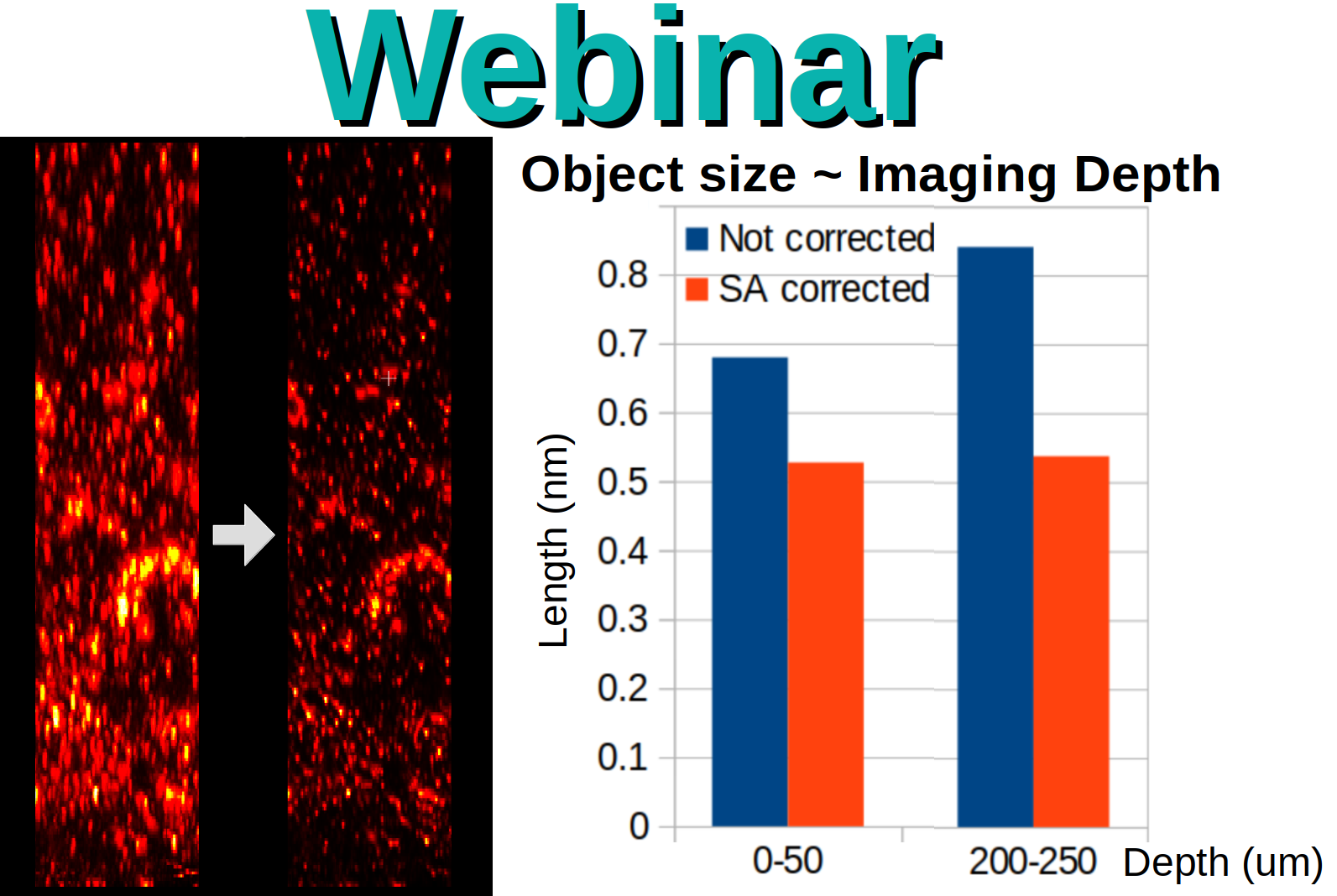 SA Webinar Homepage1