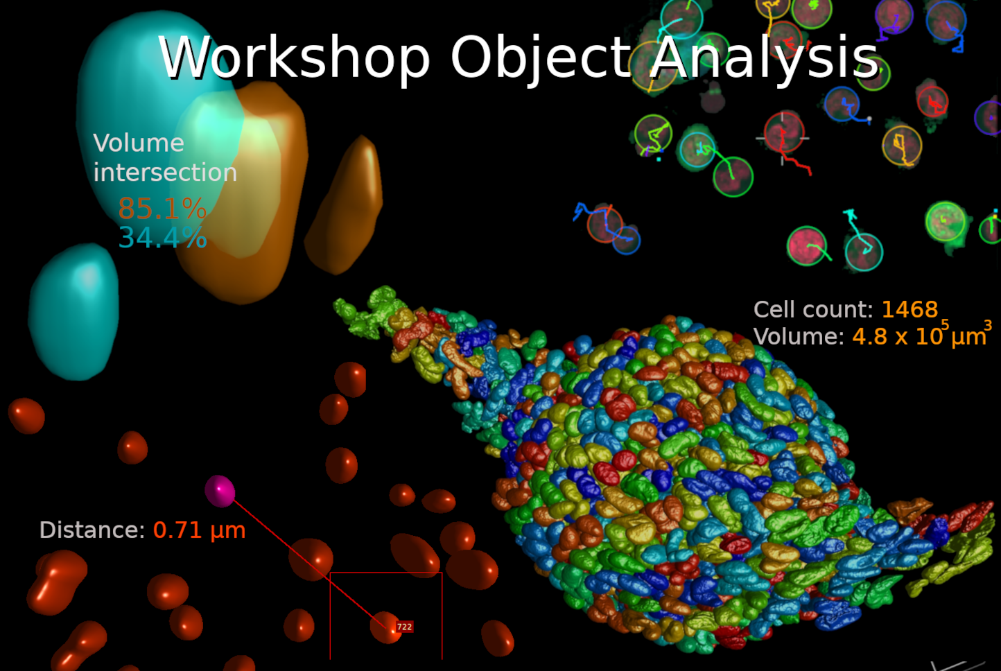 OA Workshop Oct2024 HomepageNews