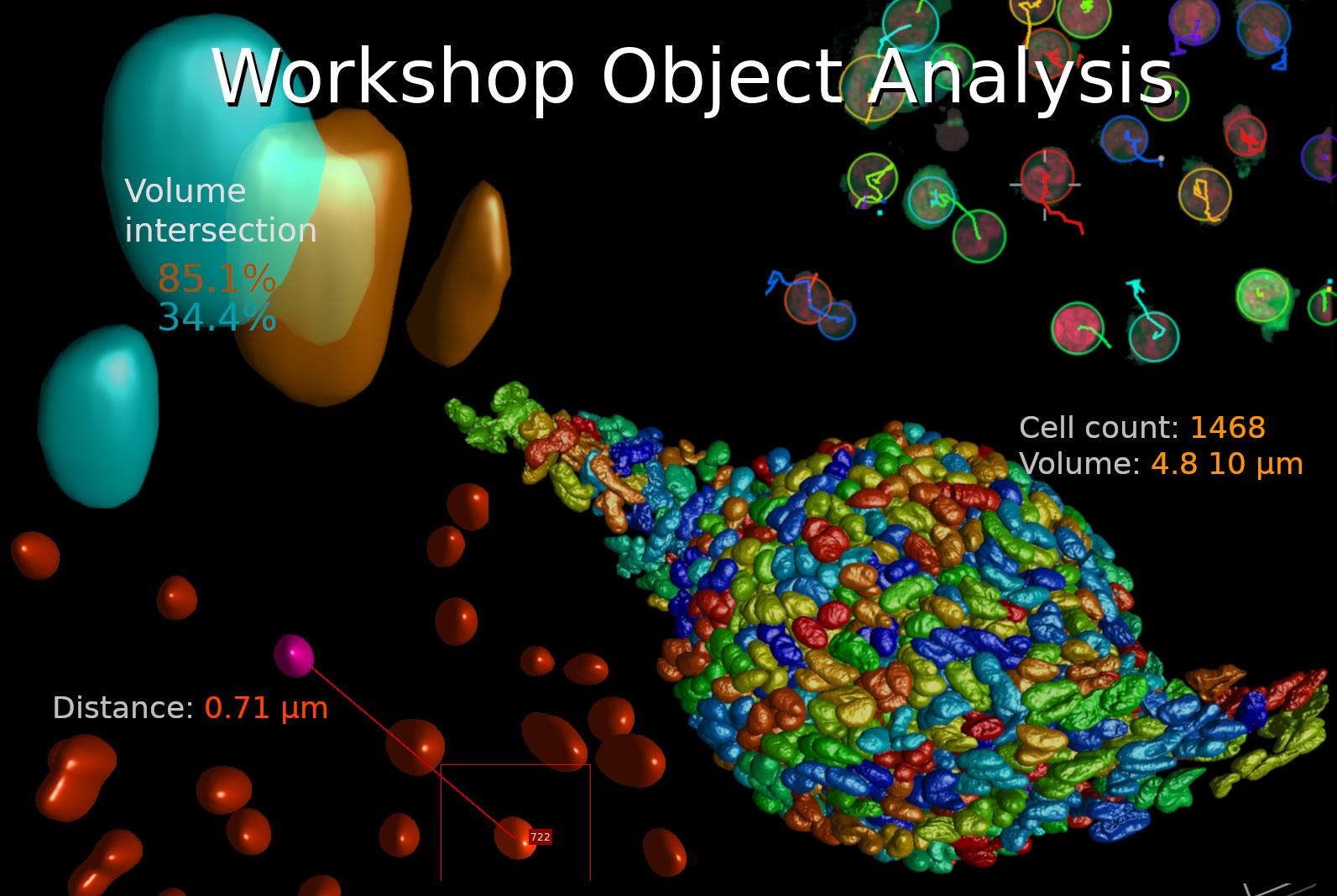 OA Workshop Oct2024 HomepageNews