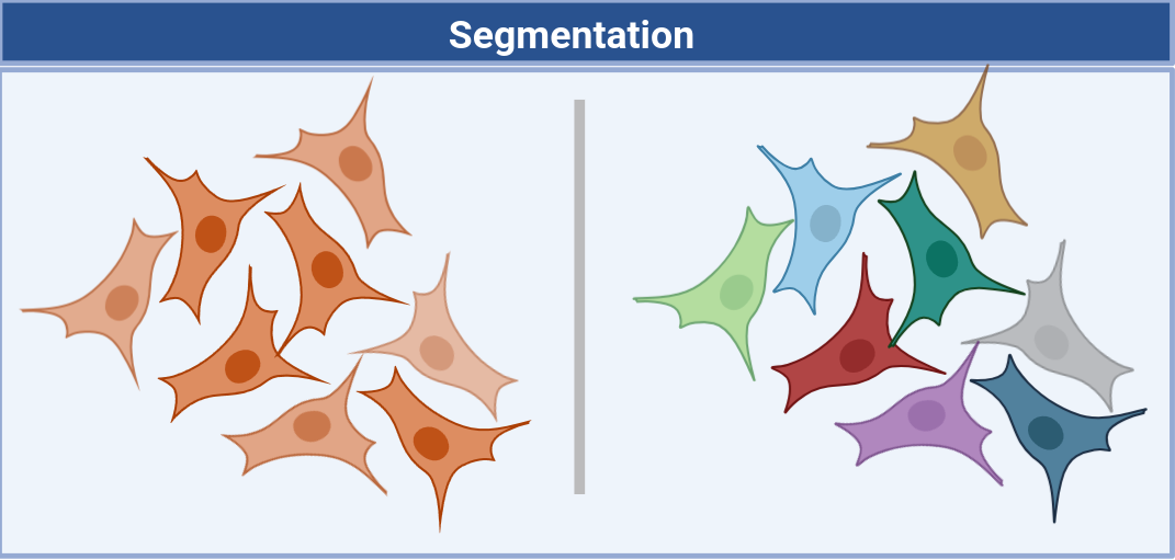 Segmentation