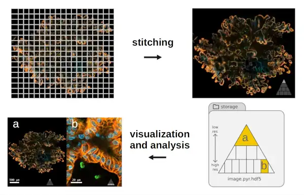 Stitching2026 Rescale