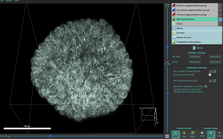 Cellpose Organoid Orlando600px Fade