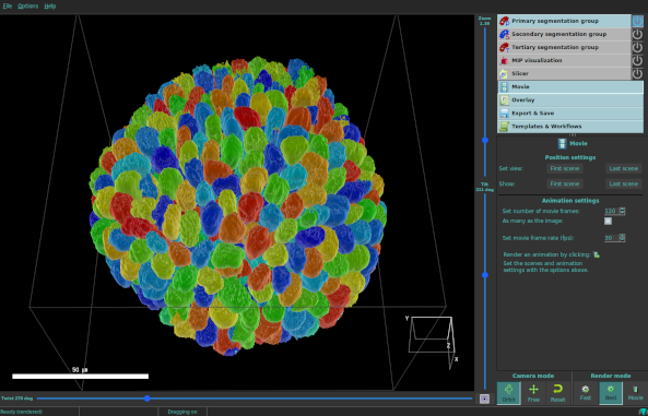Cellpose3D News