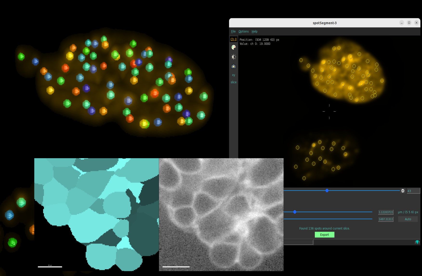 Spots Membranes