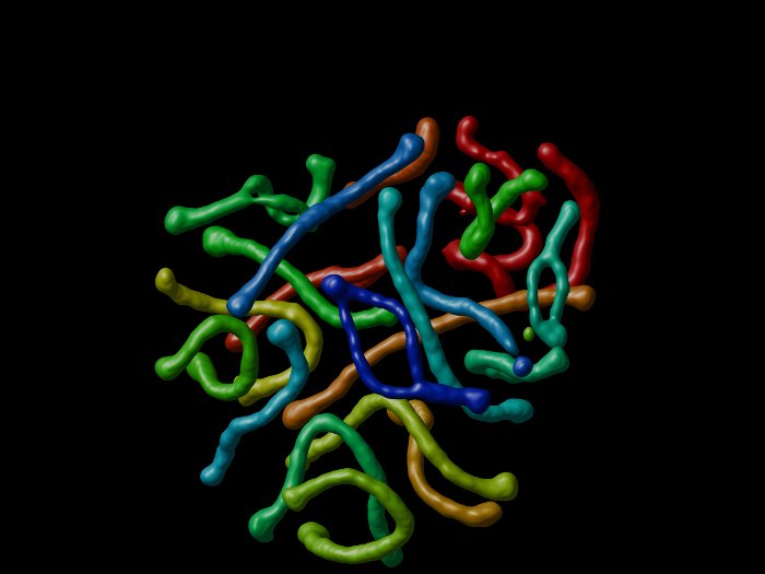 Synaptonemal complex 3 in a diplotene mouse spermatocyte. 4Pi microscope rendered with the Surface Renderer in Huygens. Courtesy of Dr. Gert van Cappellen. Dept Reproduction & Development, Erasmus MC, The Netherlands.